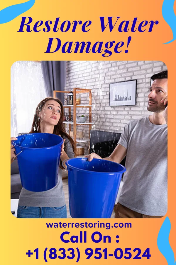 water restoration Pro Recovery Solutions Yoe
