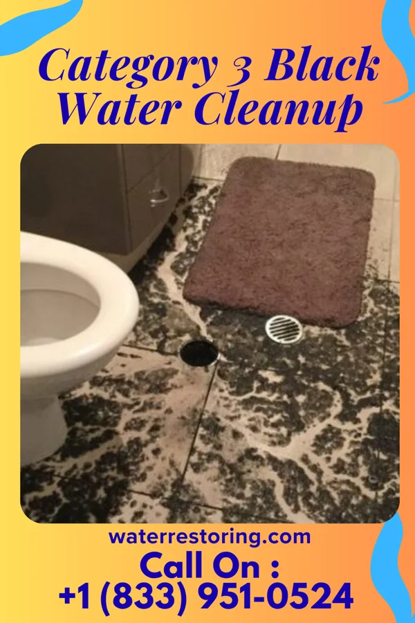 Category 3 Black Water Cleanup in Yoe, PA