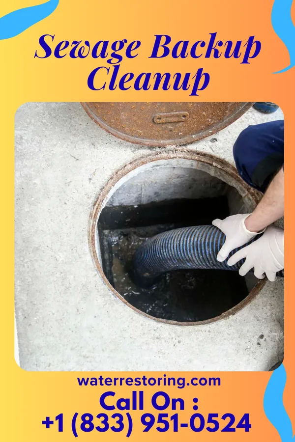 Sewage Backup Cleanup in Yoe, PA