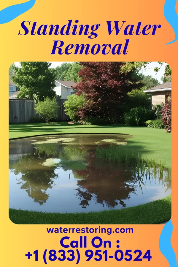 Standing Water Removal in Yoe, PA
